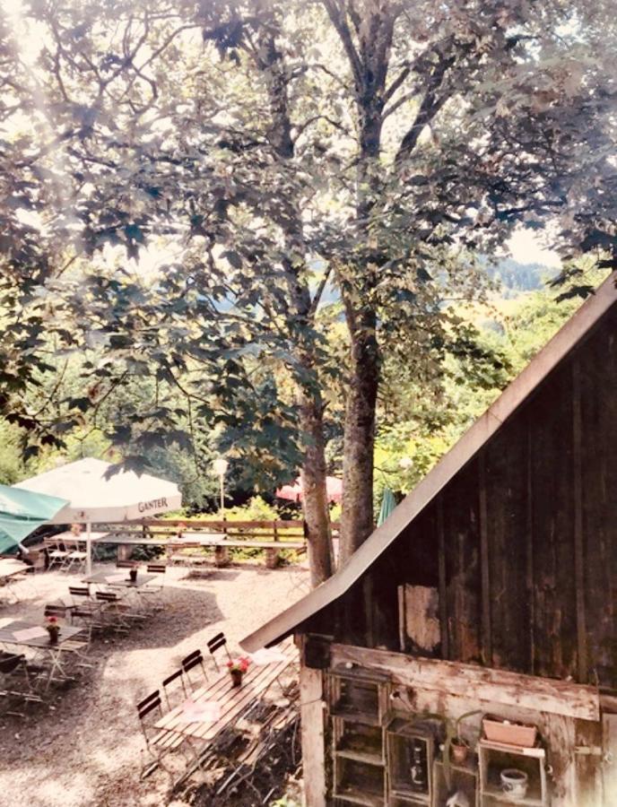 מלון קירשצארטן Gasthaus Birke מראה חיצוני תמונה