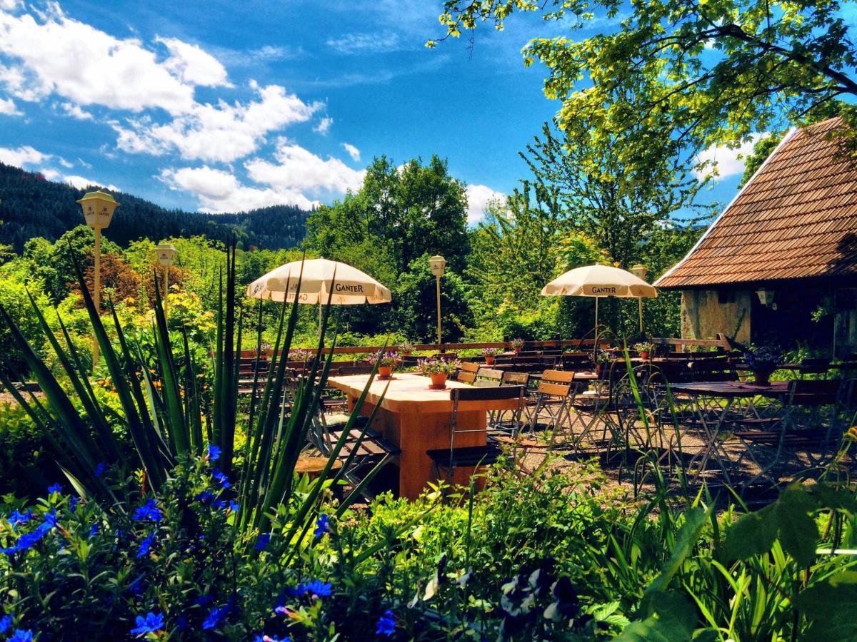 מלון קירשצארטן Gasthaus Birke מראה חיצוני תמונה